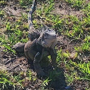 Meet your Posher, Briana